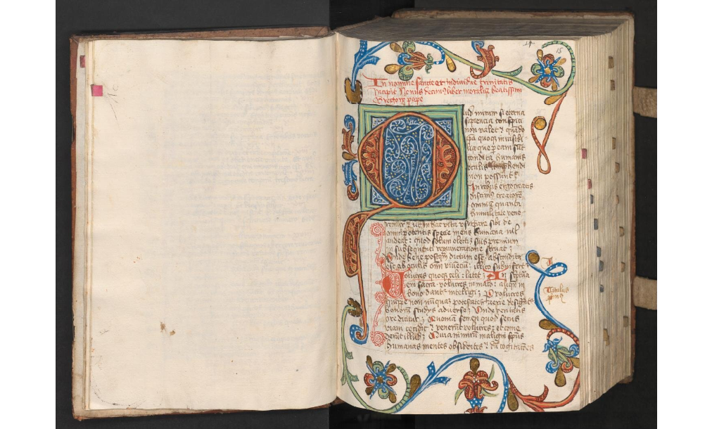 Moralia sive Expositio in Iob. Libri XIX-XXXV