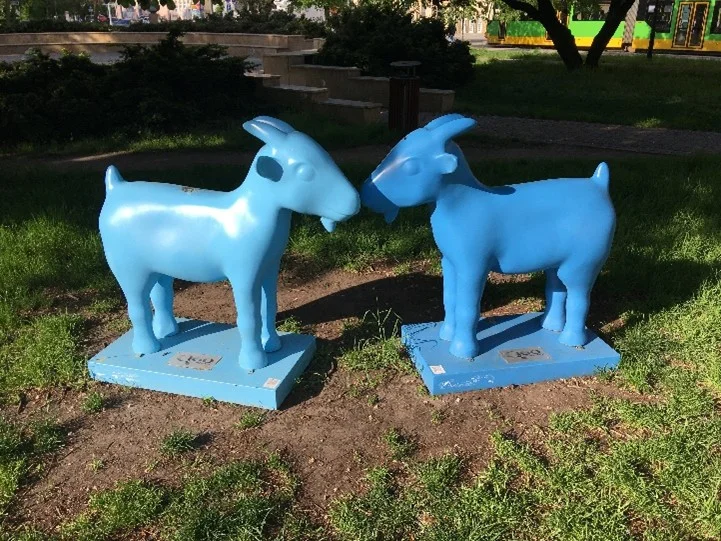 koziłki poznańskie